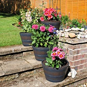 Pots de fleurs