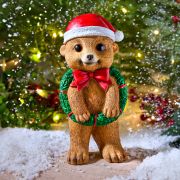 Suricates