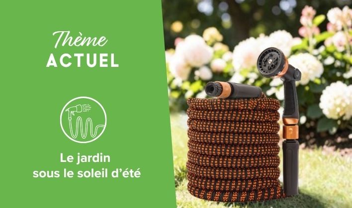 Le jardin sous le soleil d'été