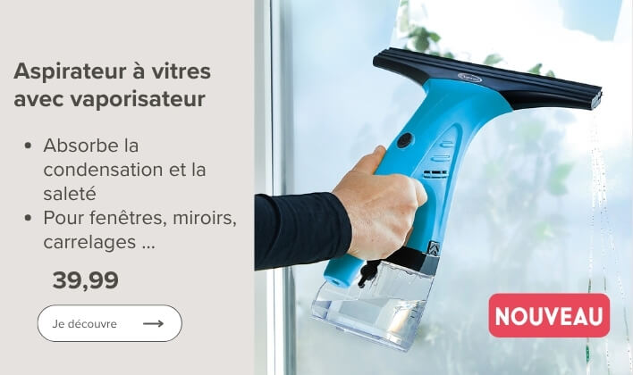 Aspirateur à vitres