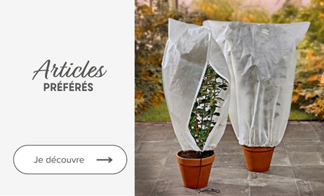 Articles préférés