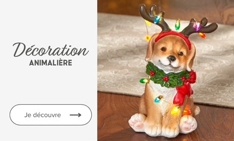Décoration animalière