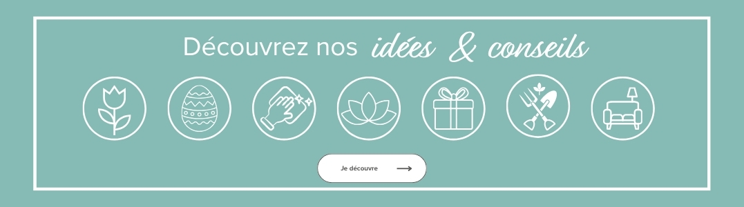 Dècouverz nos idées & conseils