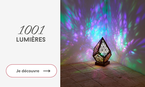 1001 lumières