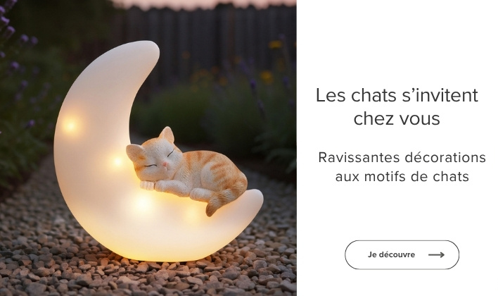 Les chats s'invitent chez vous
