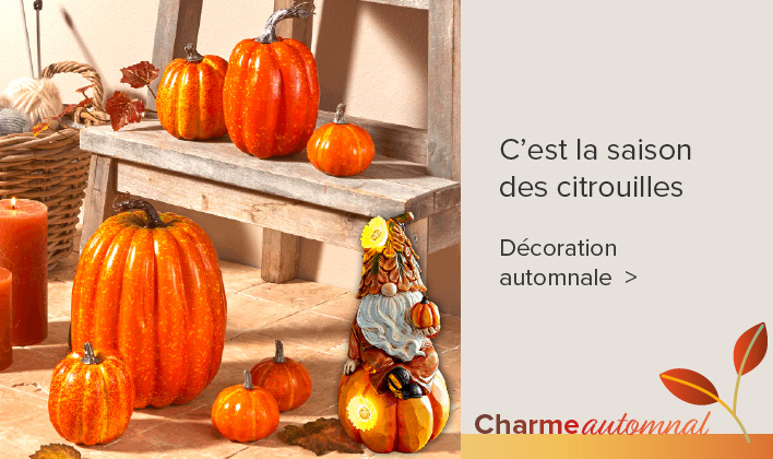 Citrouilles