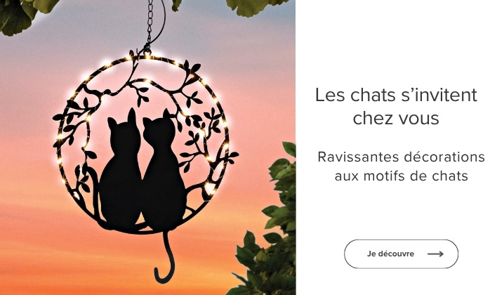 Les chats s'invitent chez vous