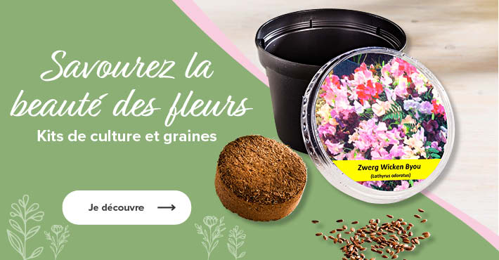 kits de culture et graines