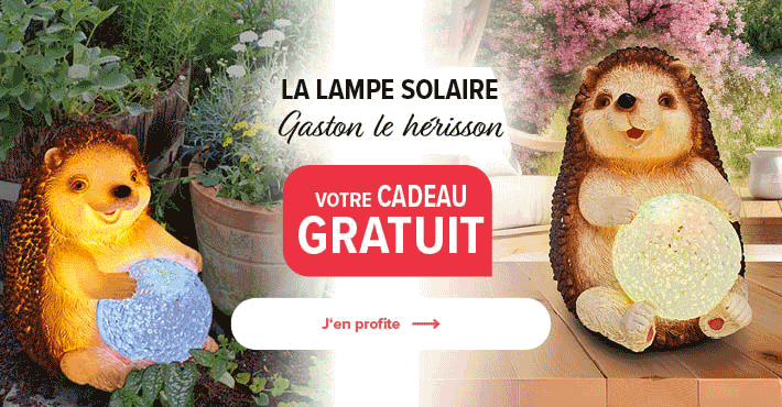Gratuit pour vous: La lampe solaire