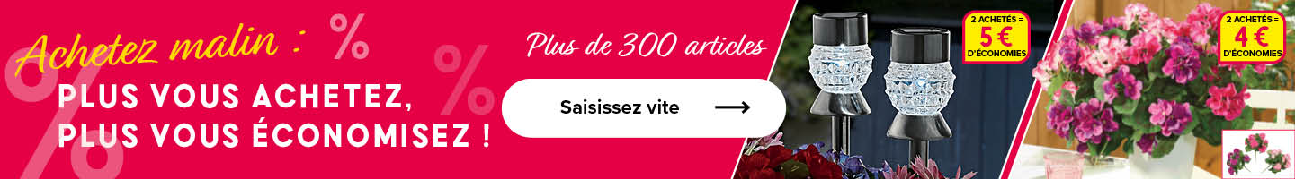 Achetez malin : Plus vous achetez, plus vous économisez !