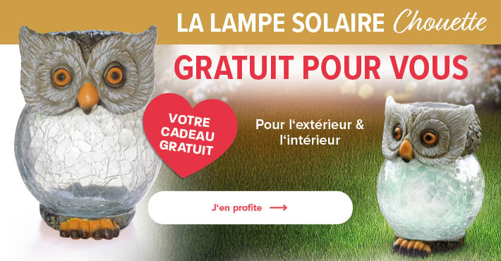 Votre cadeau gratuit la lampe solaire "Chouette"