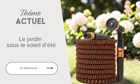 Le jardin sous le soleil s'été