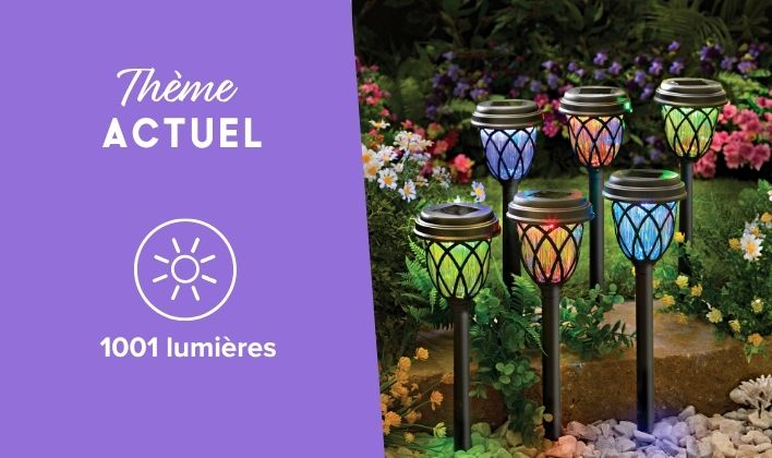 1001 lumières