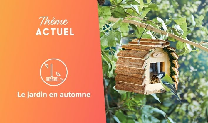 Thème actuel: Le jardin en automne