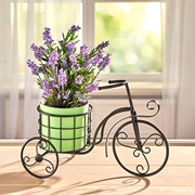 Provence magique